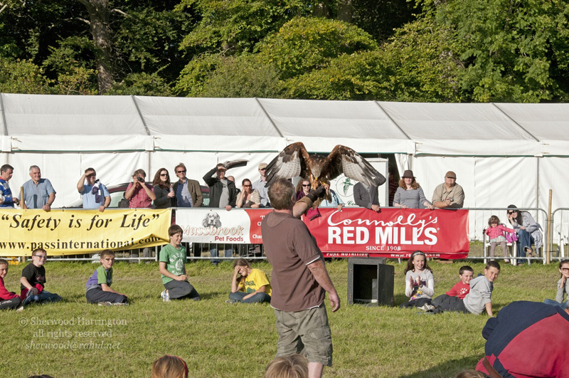 Eire2010-556