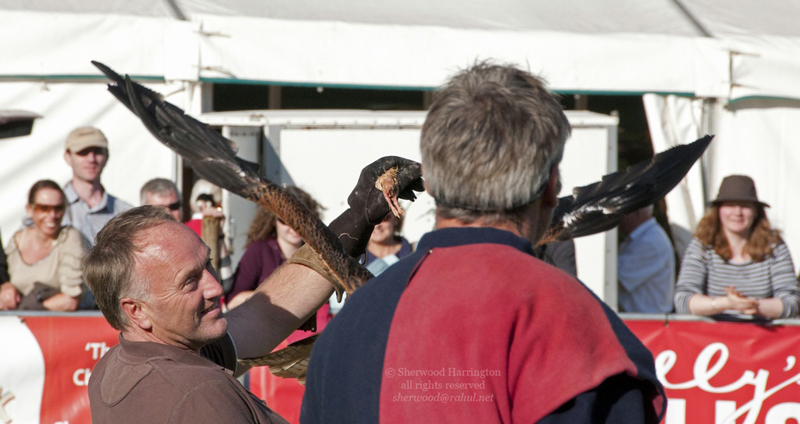 Eire2010-557