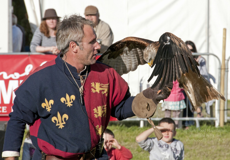 Eire2010-558