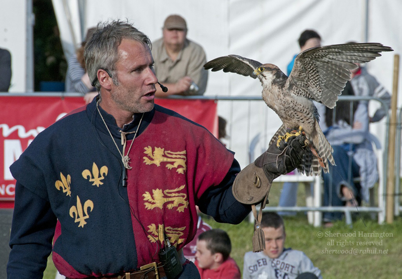 Eire2010-559