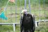 Eire2010-493