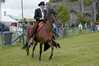 Eire2010-504