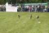 Eire2010-519