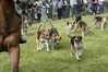 Eire2010-533
