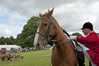 Eire2010-536