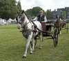 Eire2010-541