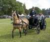 Eire2010-543