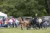 Eire2010-546