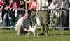Eire2010-548