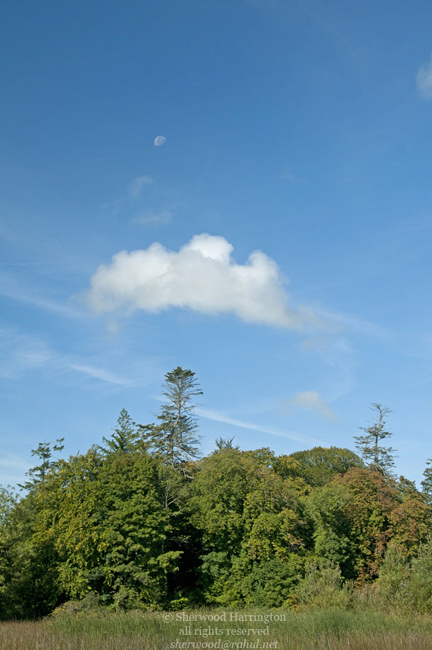 Eire2010-574
