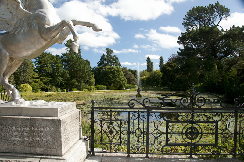 Eire2010-581