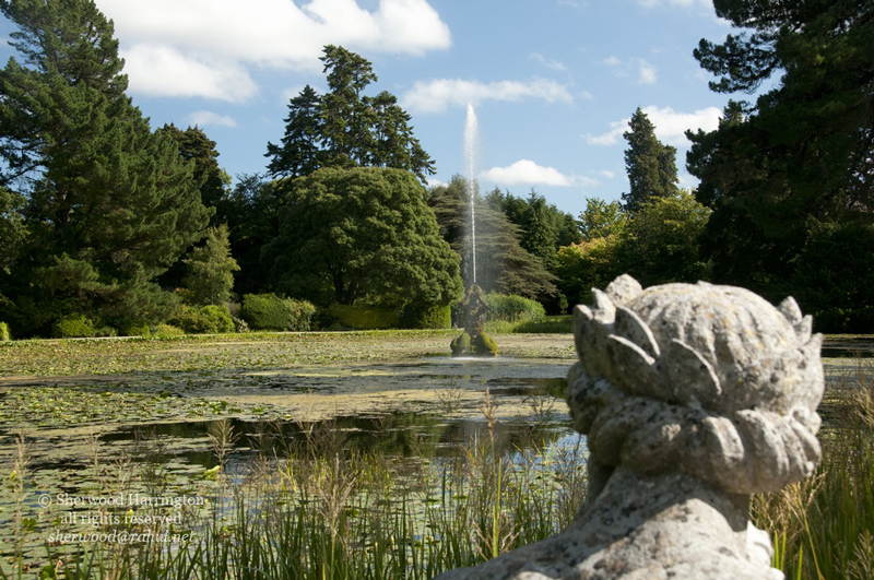 Eire2010-583