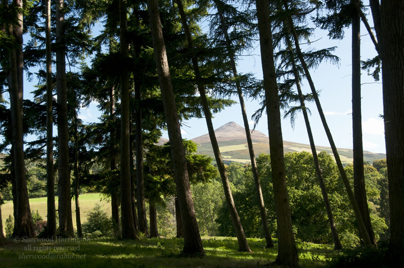 Eire2010-587