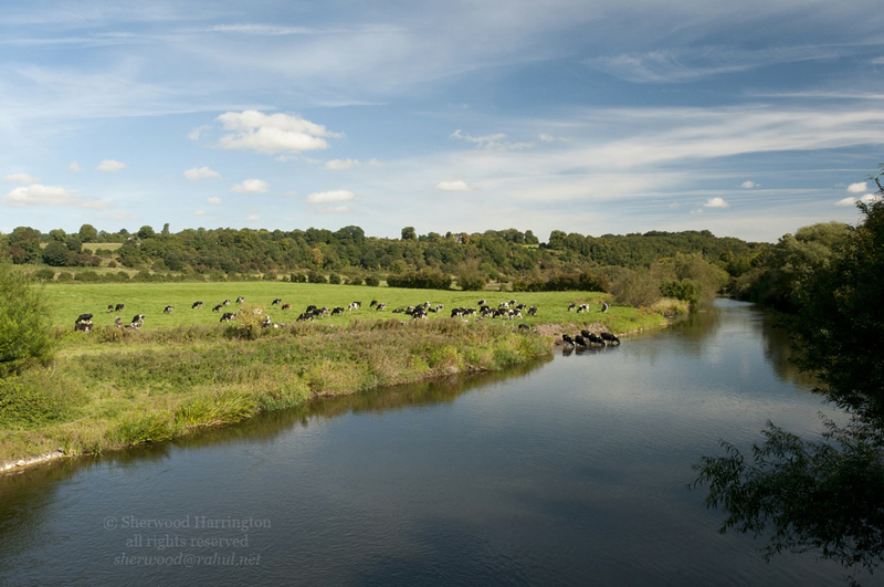 Eire2010-603