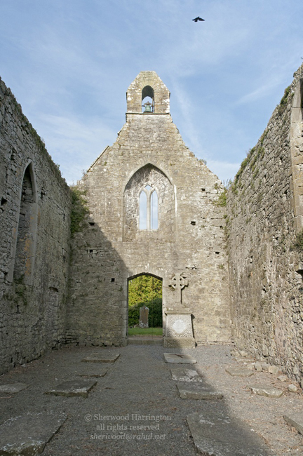Eire2010-629