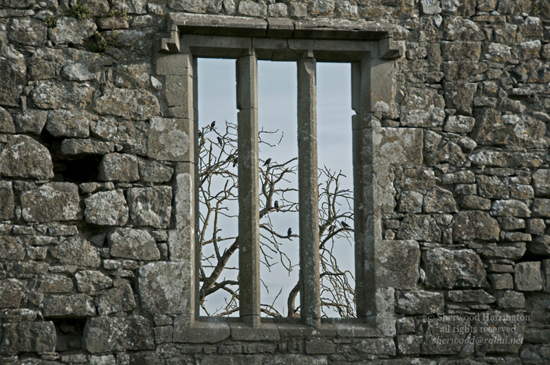 Eire2010-635