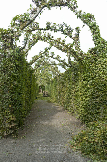 Eire2010-640