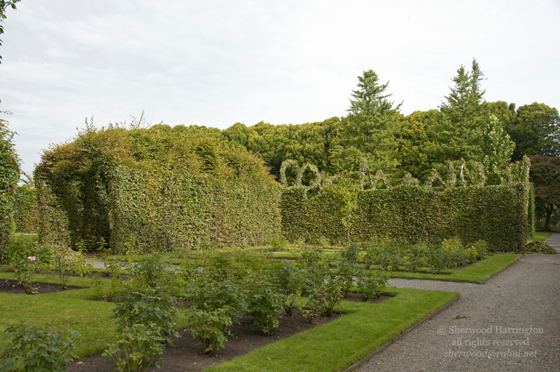 Eire2010-641