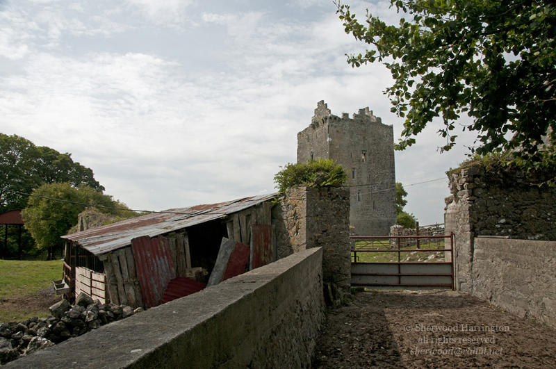 Eire2010-658