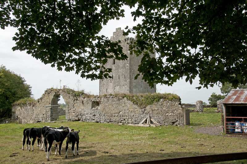 Eire2010-659