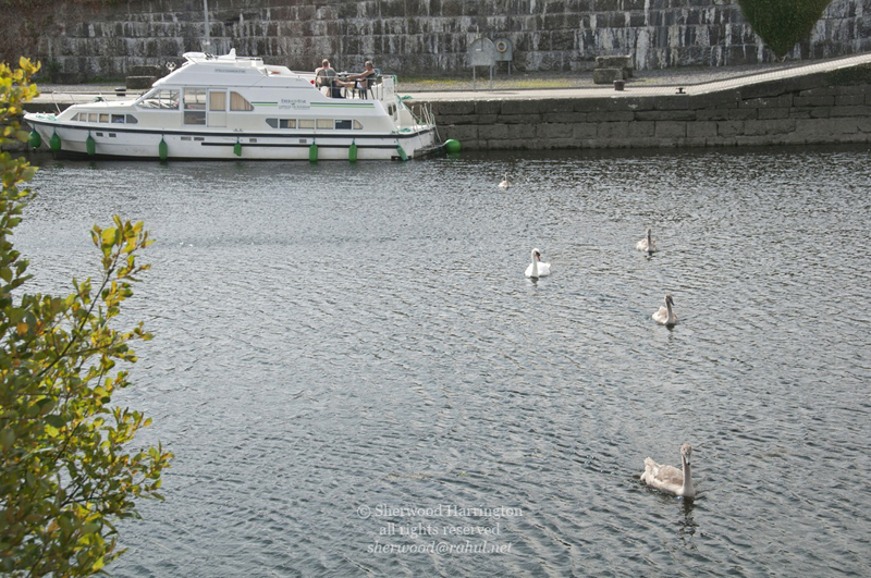 Eire2010-663