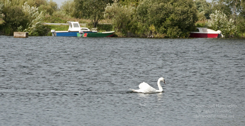 Eire2010-665