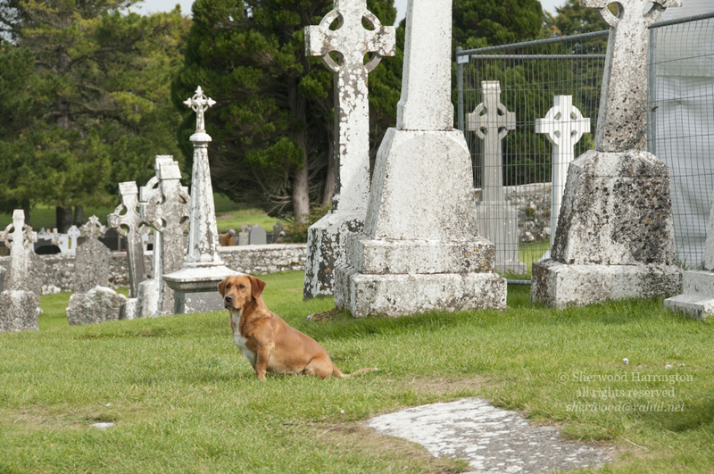 Eire2010-672