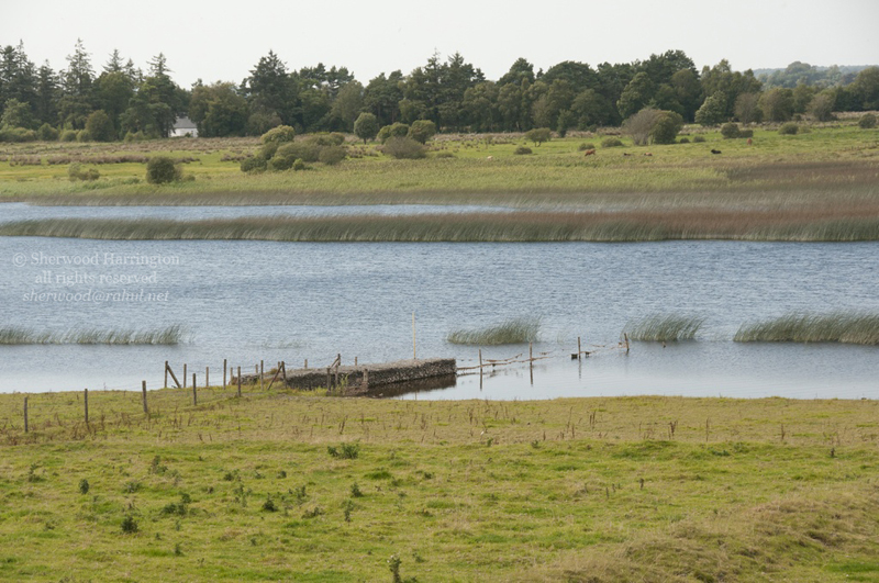 Eire2010-674