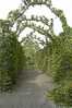 Eire2010-640