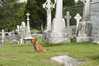 Eire2010-672