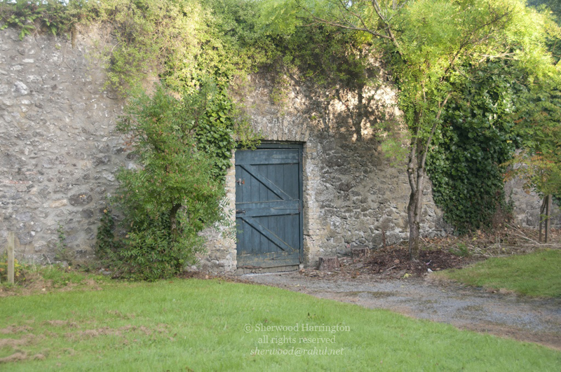 Eire2010-683