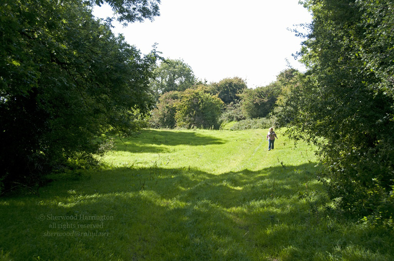 Eire2010-688