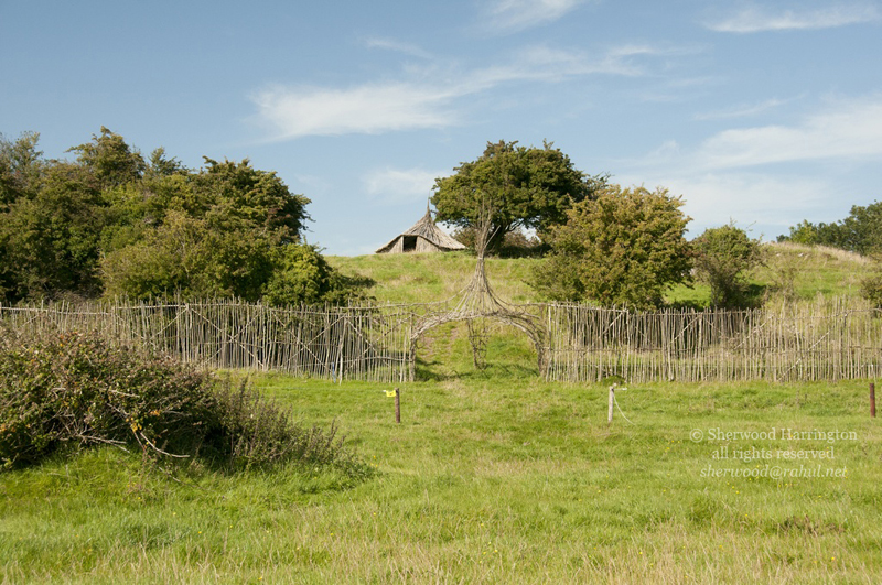 Eire2010-694