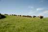 Eire2010-692