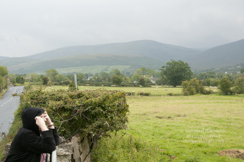 Eire2010-736