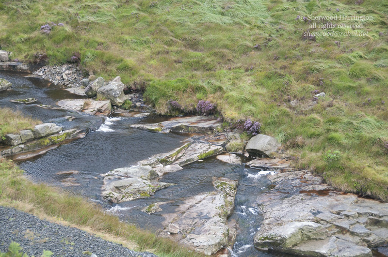 Eire2010-739