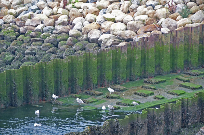 Eire2010-745
