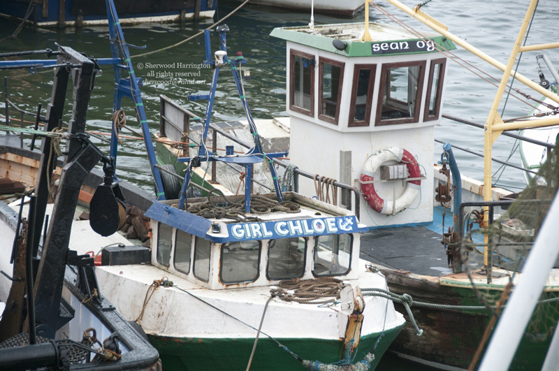 Eire2010-747