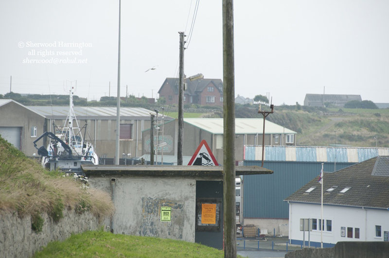 Eire2010-748