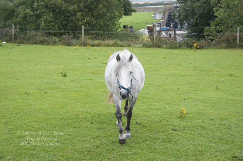 Eire2010-750