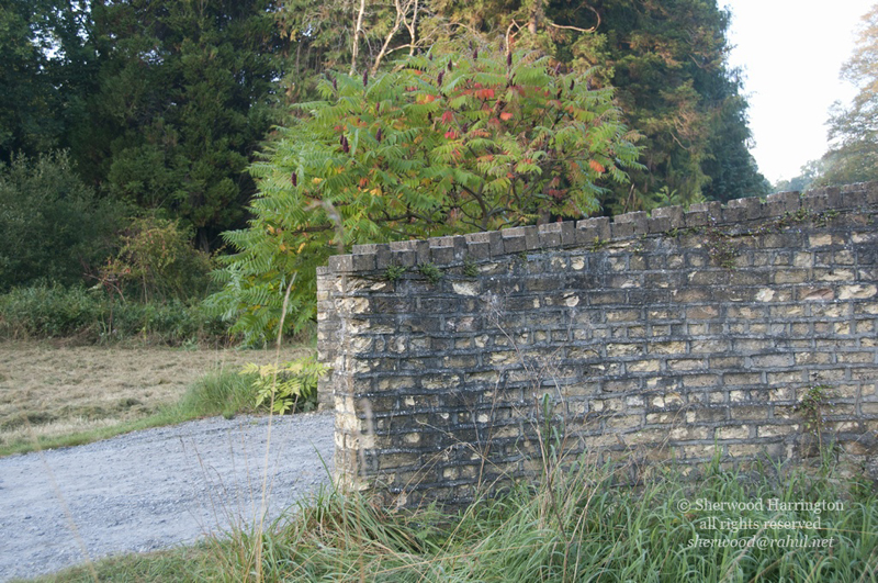 Eire2010-705