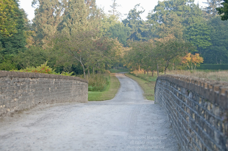 Eire2010-706