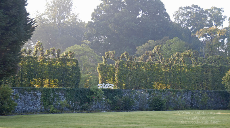 Eire2010-709