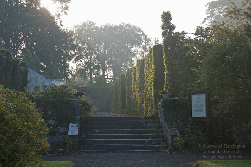 Eire2010-710