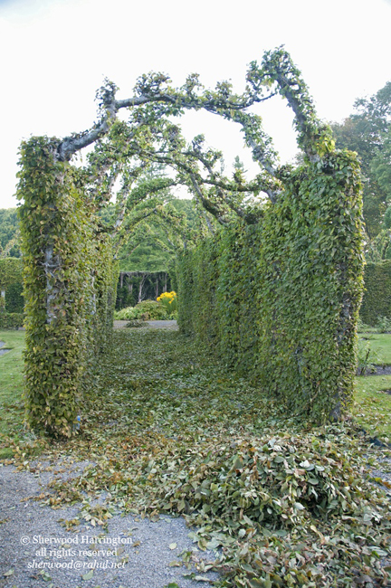 Eire2010-714