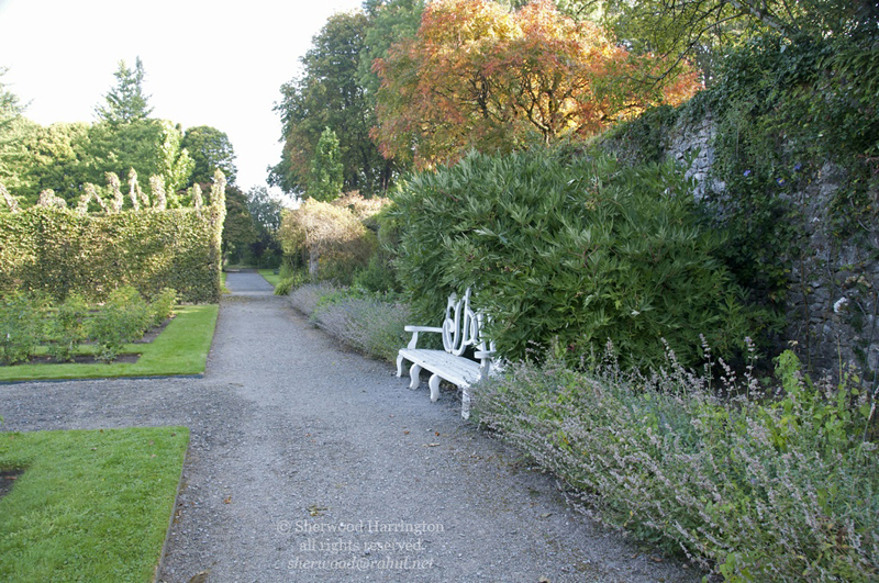 Eire2010-715