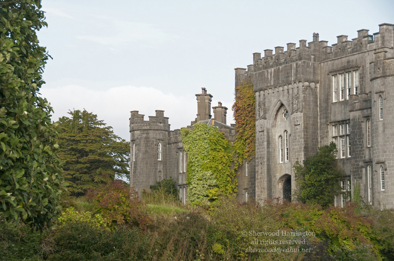 Eire2010-726