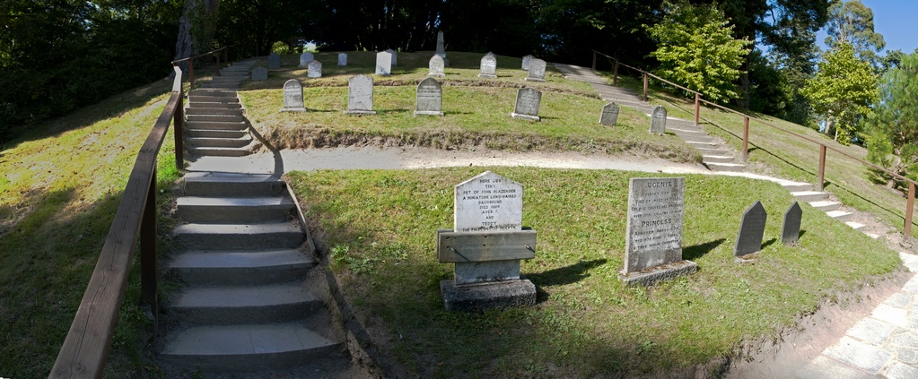 08-03PetCemPano